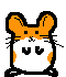 Hampster dancing